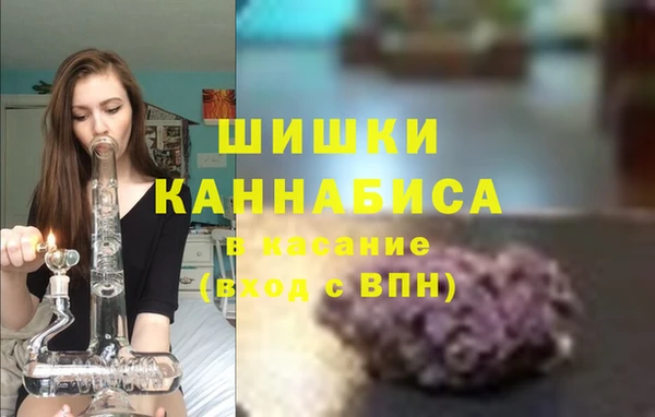 ПСИЛОЦИБИНОВЫЕ ГРИБЫ Балабаново