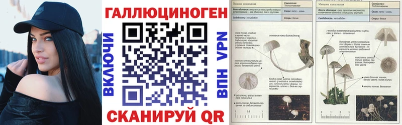 Псилоцибиновые грибы GOLDEN TEACHER  дарнет шоп  Новый Оскол 