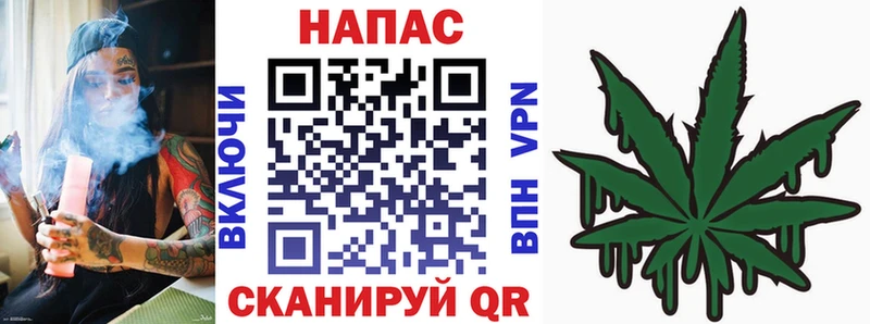 Марихуана сатива  где купить наркоту  ссылка на мегу ссылки  Новый Оскол 